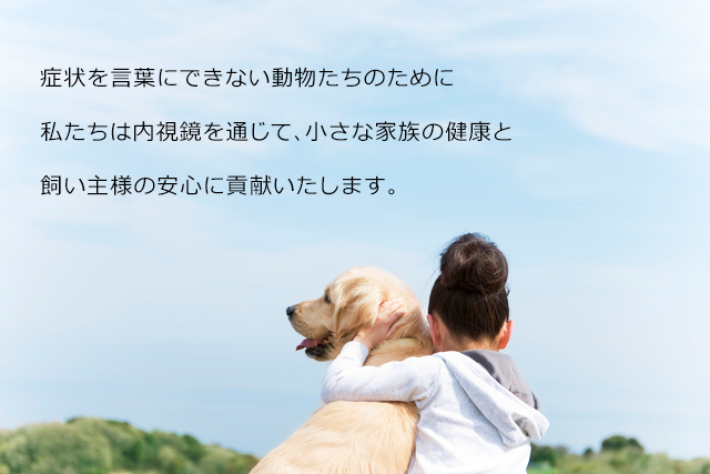 症状を言葉にできない動物たちのために私たちは内視鏡を通じて、小さな家族の健康と飼い主様の安心に貢献いたします。